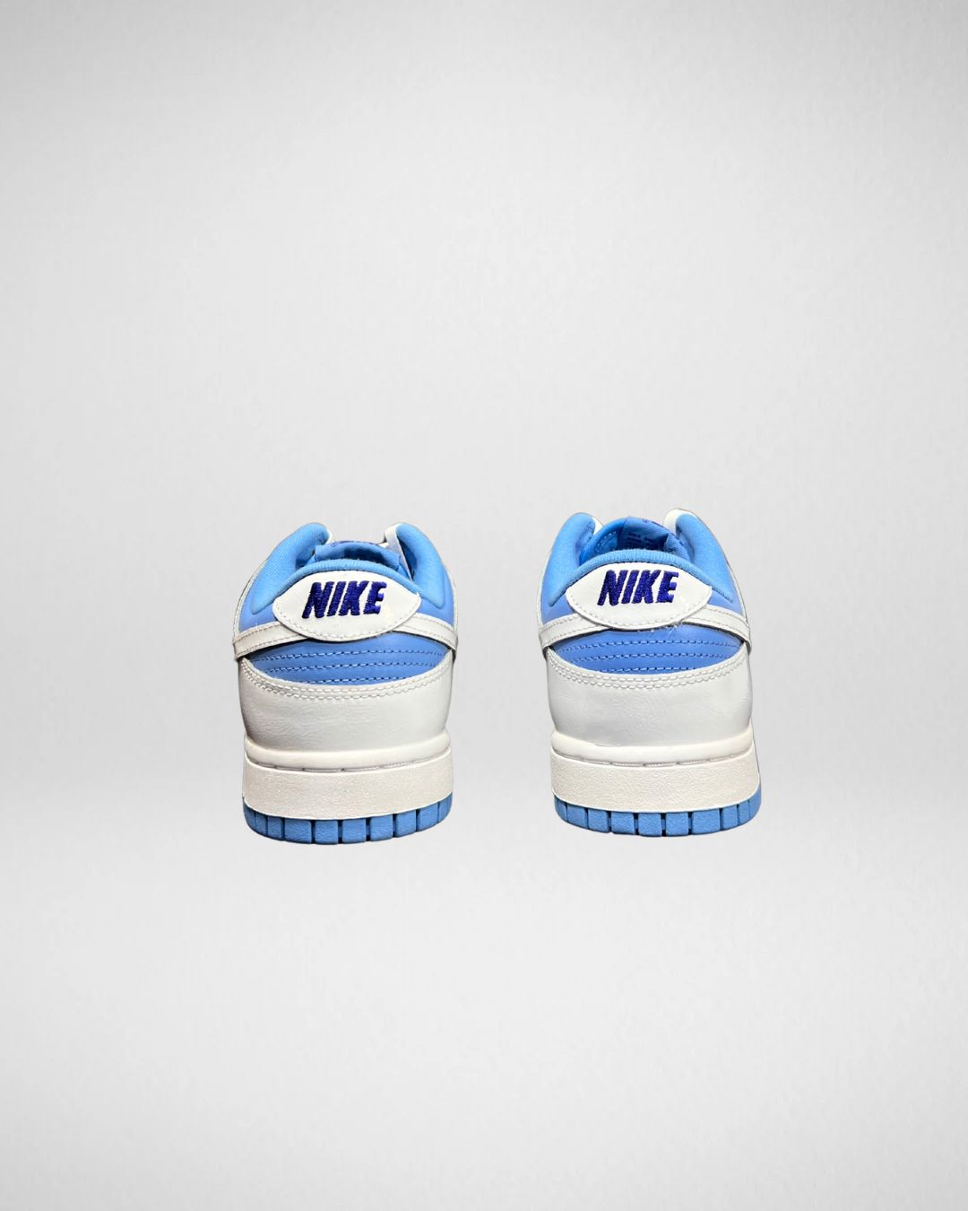 Nike Dunk Low Reverse
