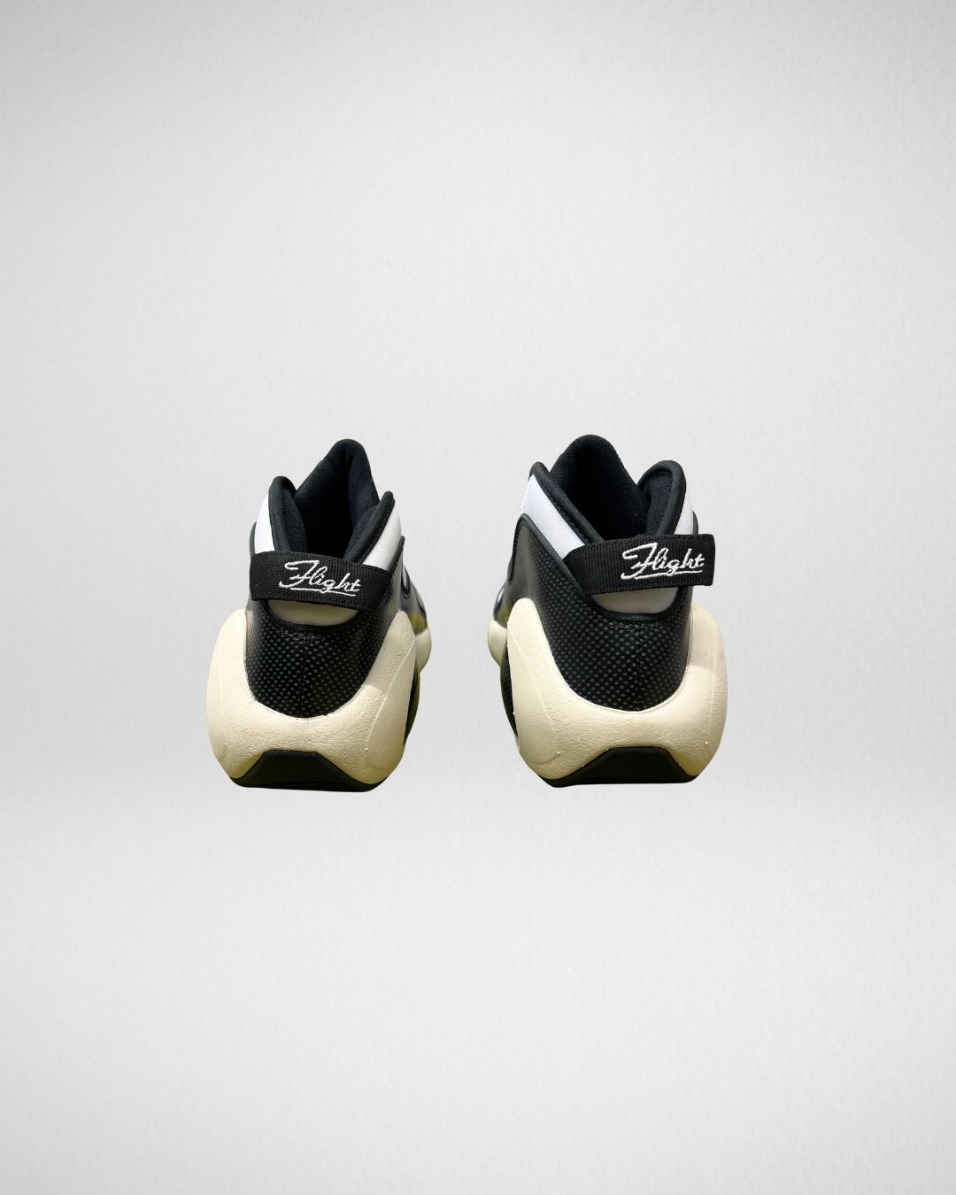 Nike Air Zoom Flight 95 Hoops
