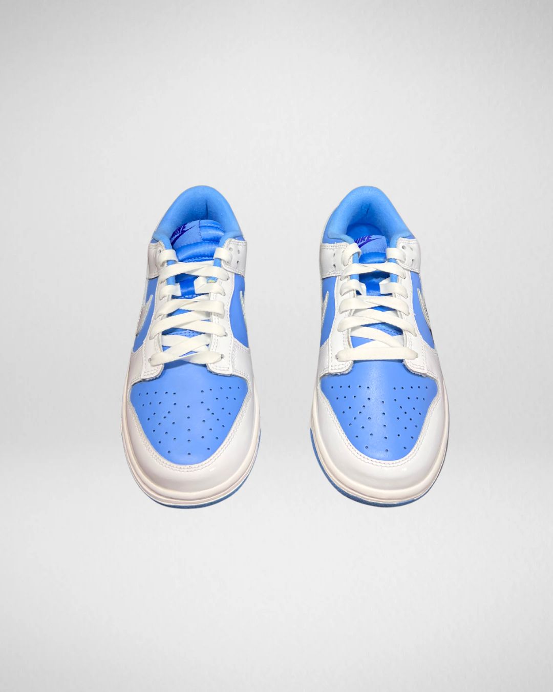 Nike Dunk Low Reverse