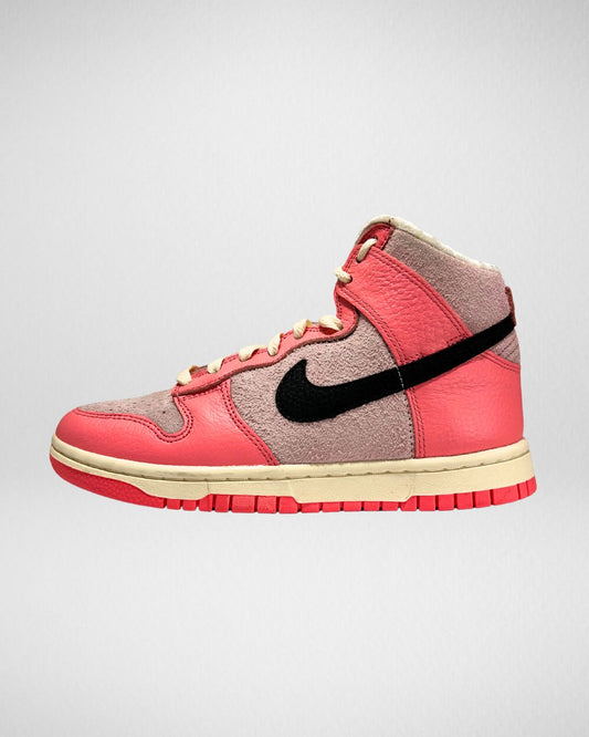 Nike Dunk High Hoops