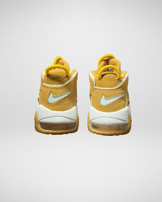 Nike Air more Uptempo Wheat