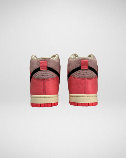 Nike Dunk High Hoops
