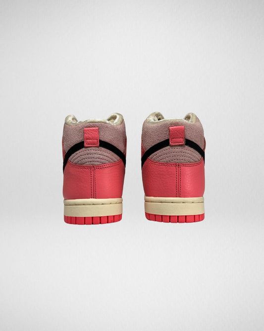 Nike Dunk High Hoops