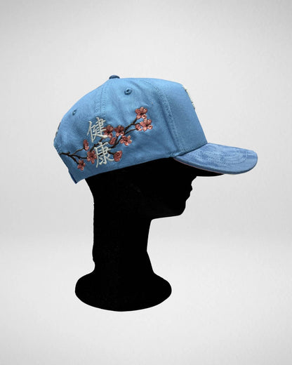 Dreamer Hats V2 Kanji